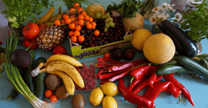 Variety of fresh fruits and vegetables